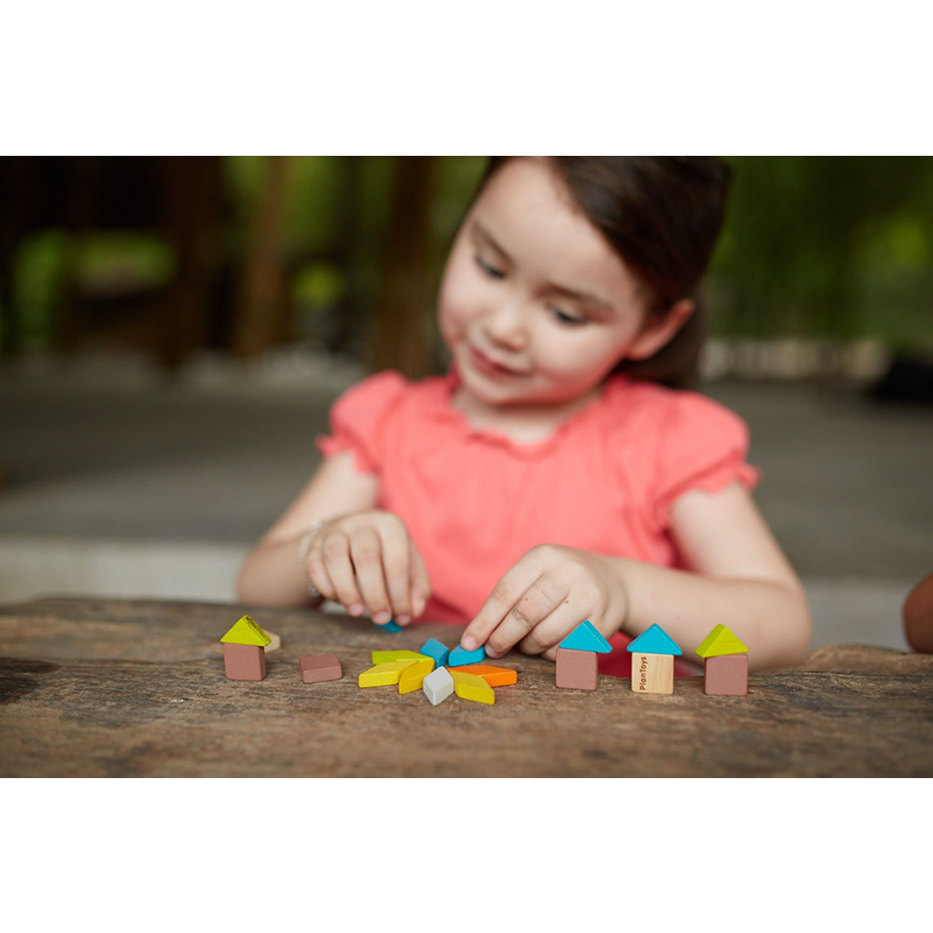 PlanToys Mosaic — Wooden Pattern Building Set