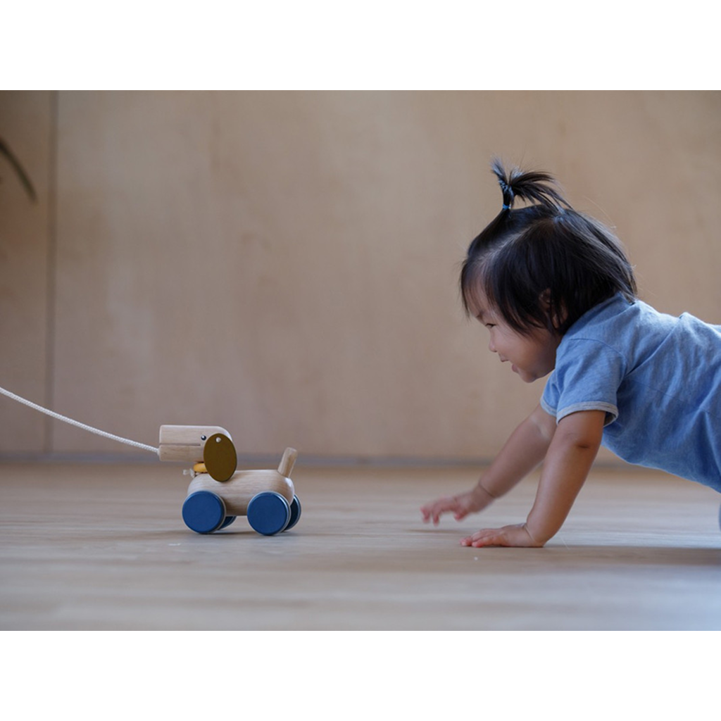لعبة الكلب الخشبي للدفع والسحب من PlanToys — لعبة المشي للأطفال