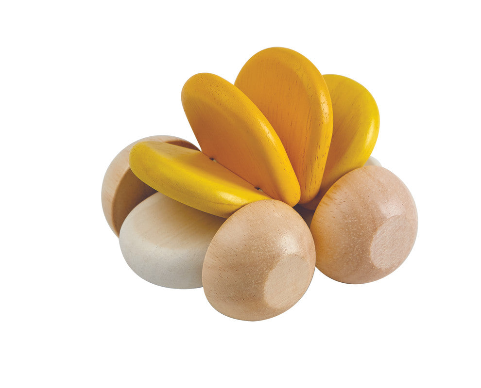 Sustainable Wooden Baby Car