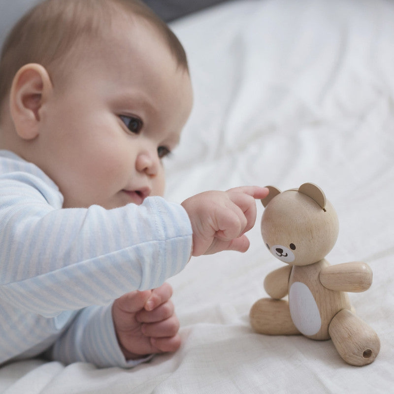 الدب الصغير