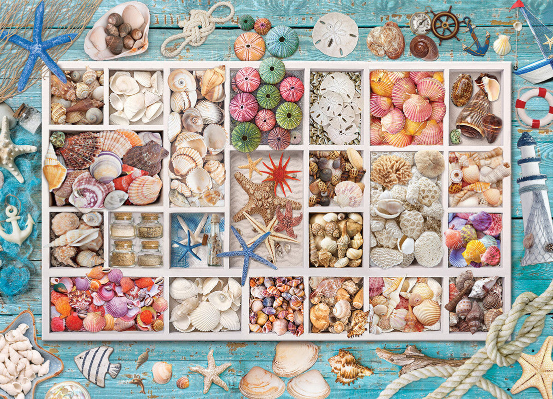 Seashell Collection 1000 Piece Puzzle