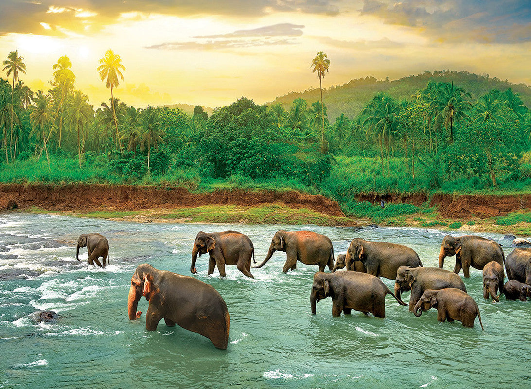 Save The Planet!Animal King - 1000 Pcs Puzzle