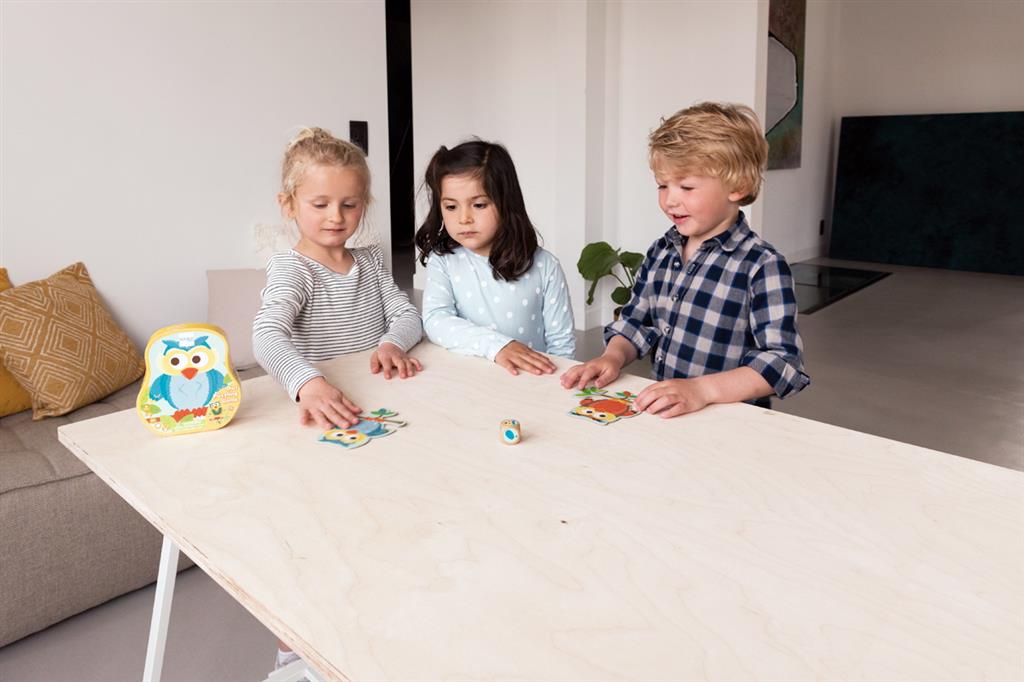 Owl Puzzling Game, In Contour Box