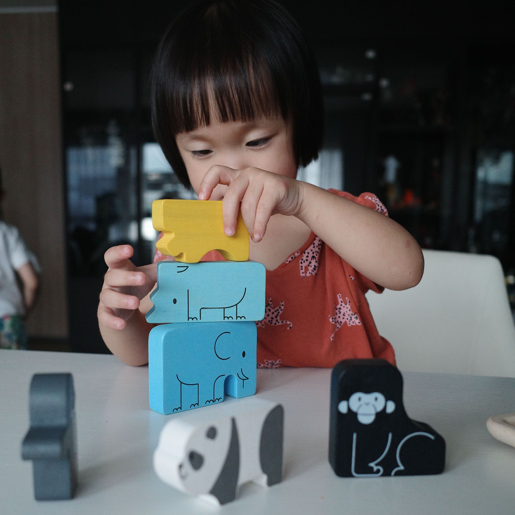 PlanToys Animal Puzzle Game
