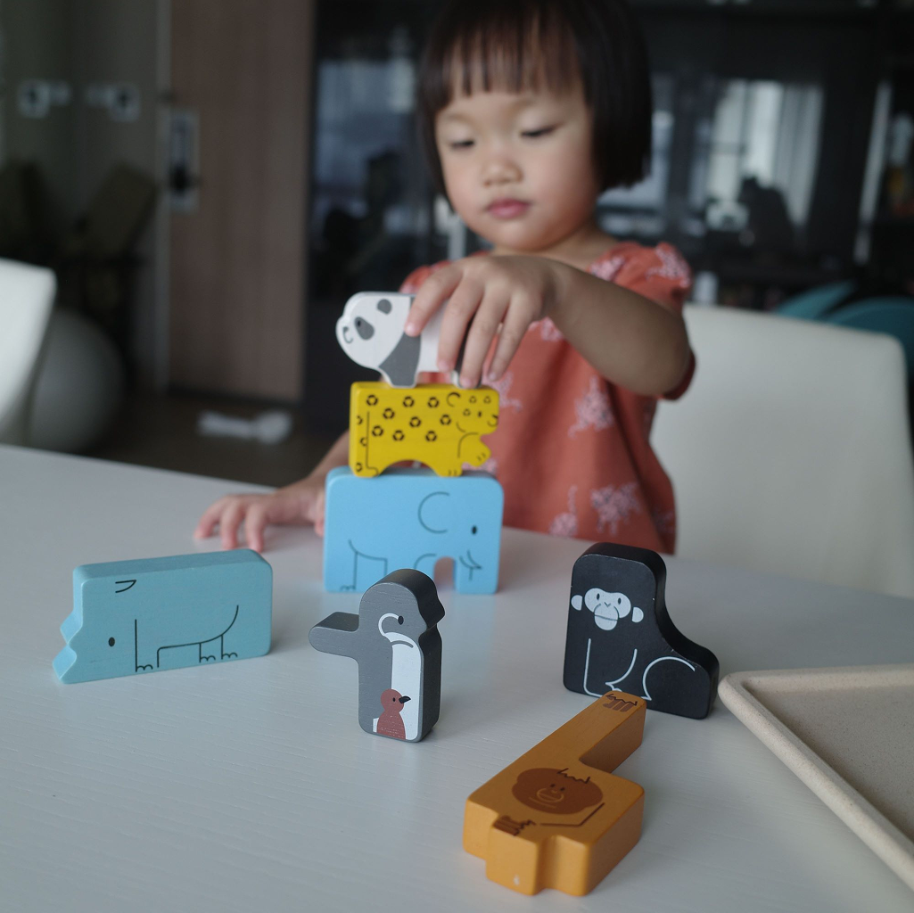 PlanToys Animal Puzzle Game