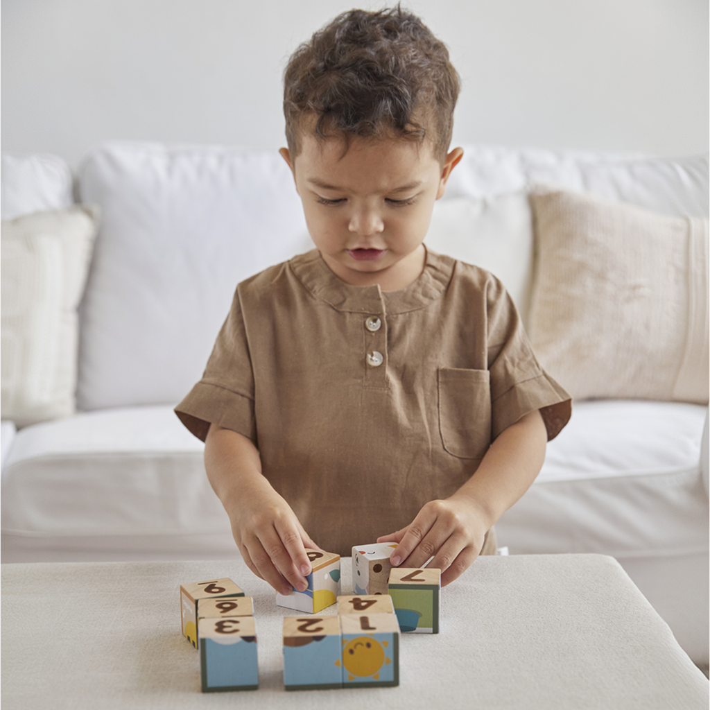PlanToys Animal Puzzle Cubes