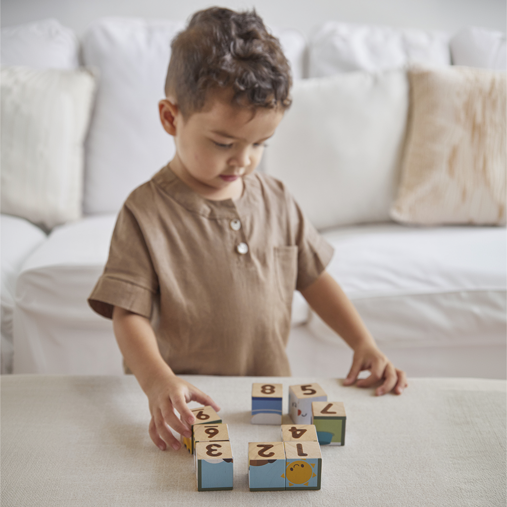 PlanToys Animal Puzzle Cubes