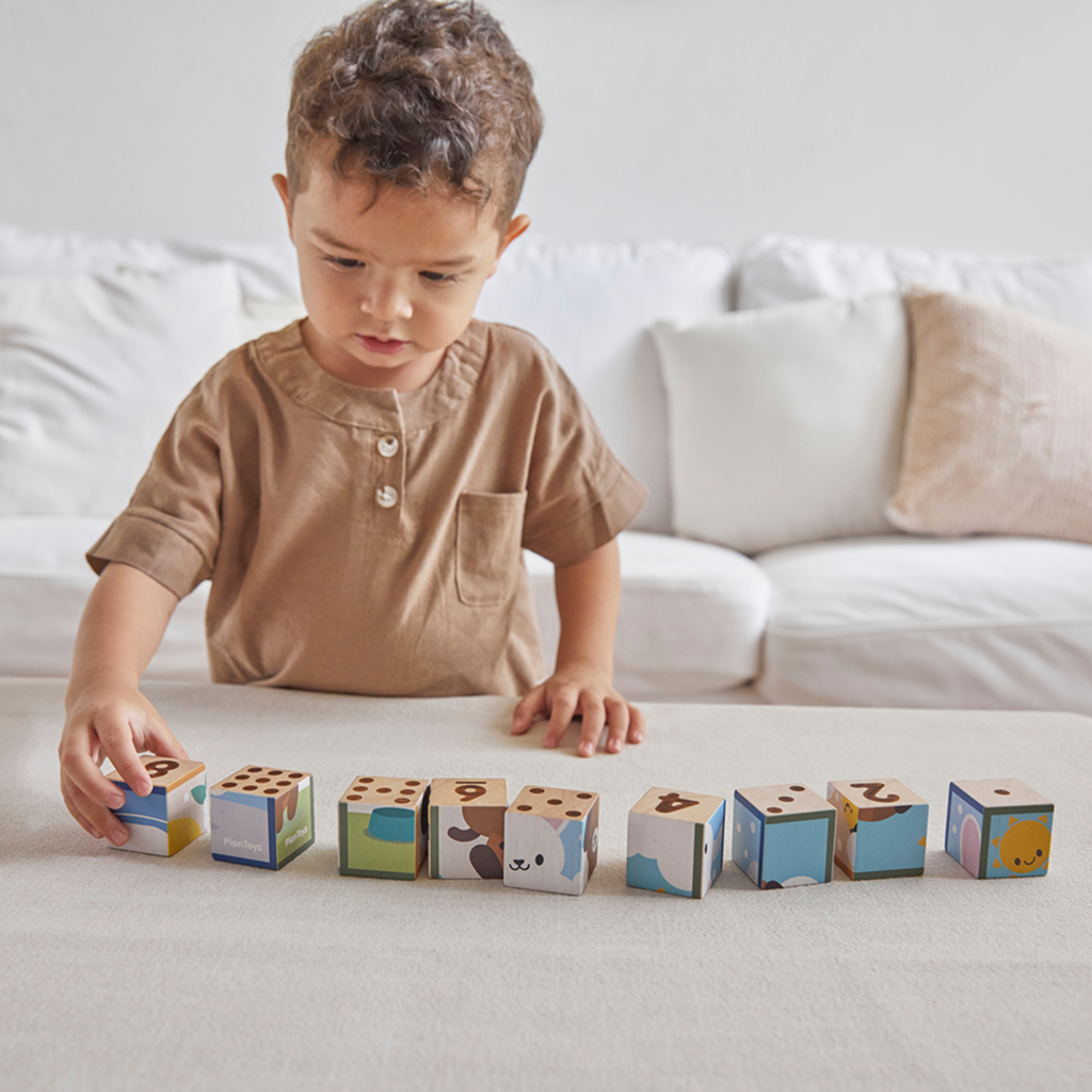 PlanToys Animal Puzzle Cubes