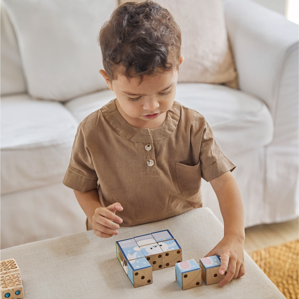 PlanToys Animal Puzzle Cubes