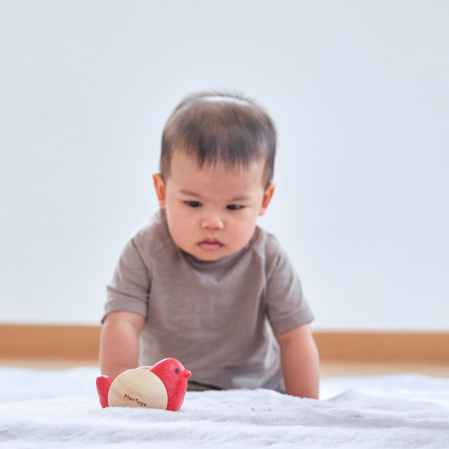 PlanToys Bird Roller — Wooden Push Toy