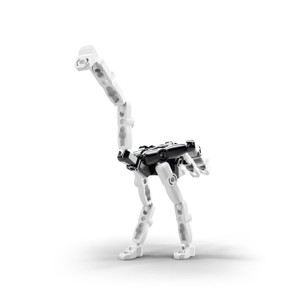 ZooZ - The Ostrich