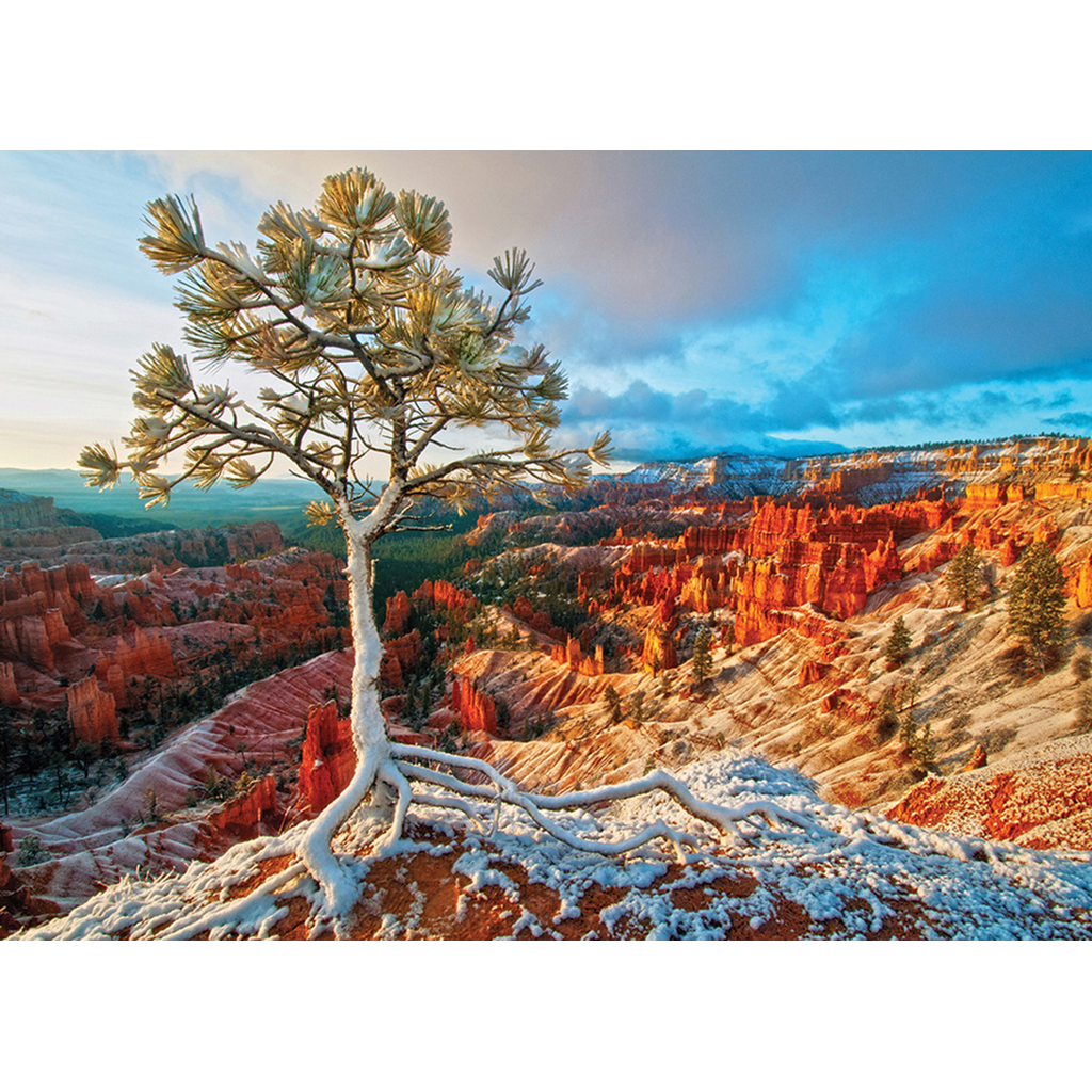 Winter Sunrise-1000 Pcs