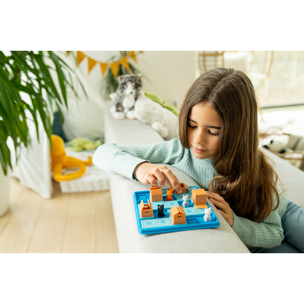 Smart Games Cats & Boxes — Sequential Puzzle Game