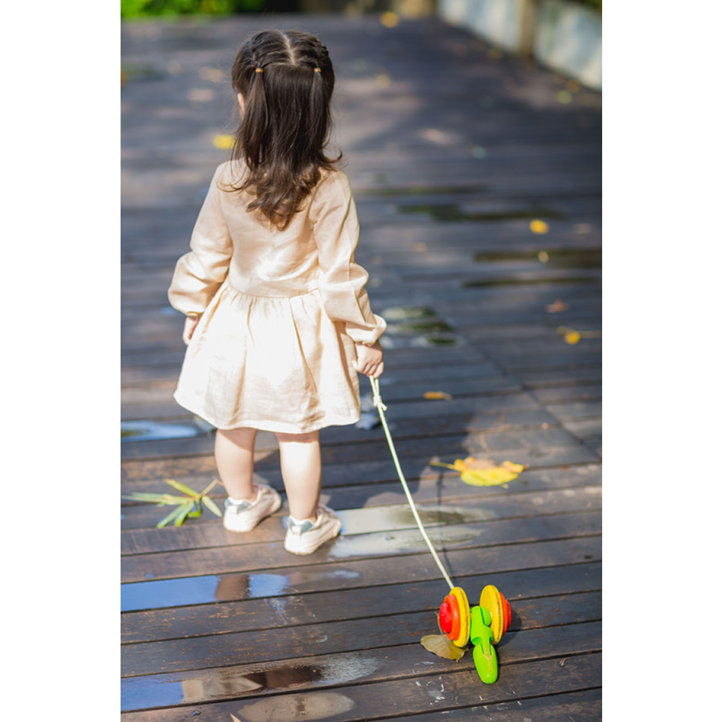 PlanToys Pull Along Snail