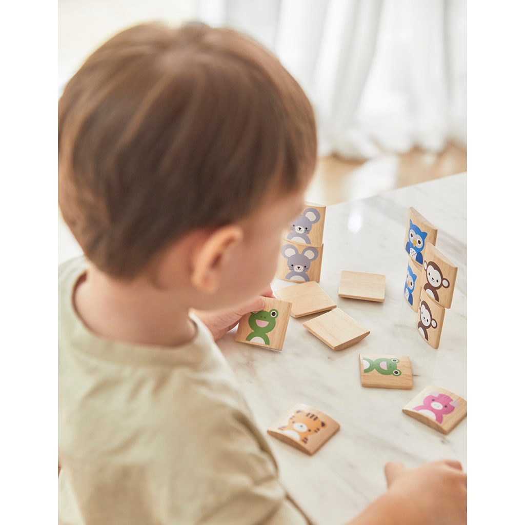 PlanToys Animals Memo