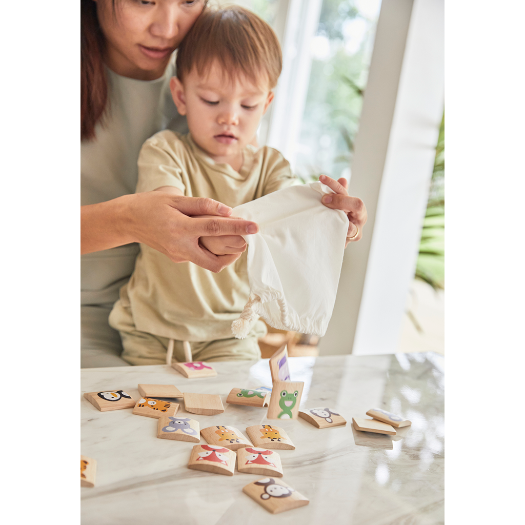 PlanToys Animals Memo