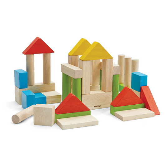 PlanToys Colorful 40 Unit Blocks