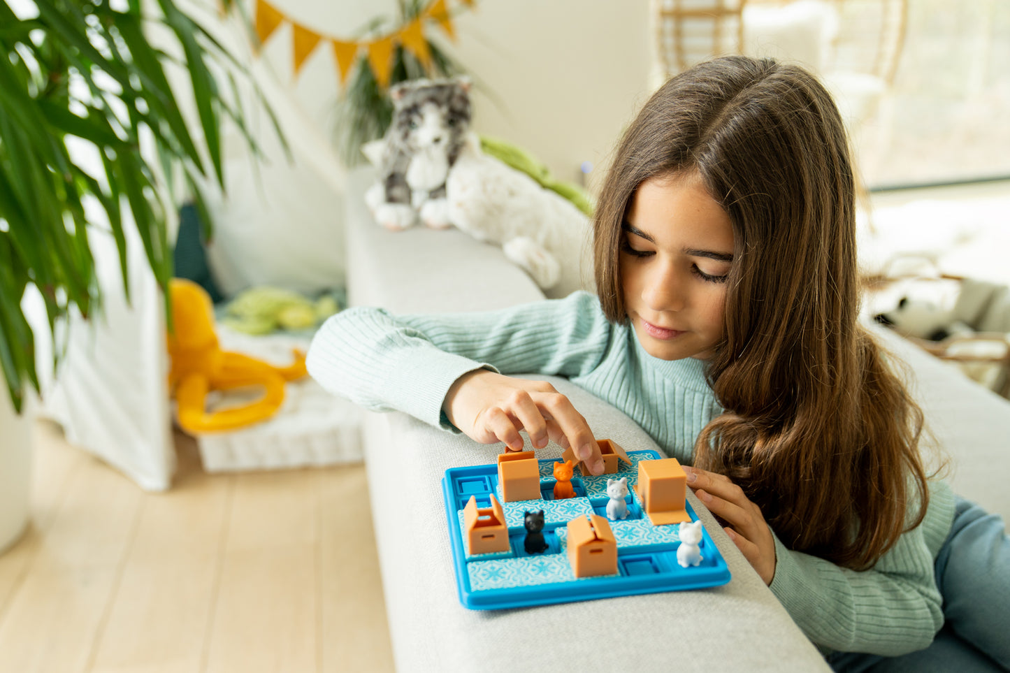 القطط والصناديق