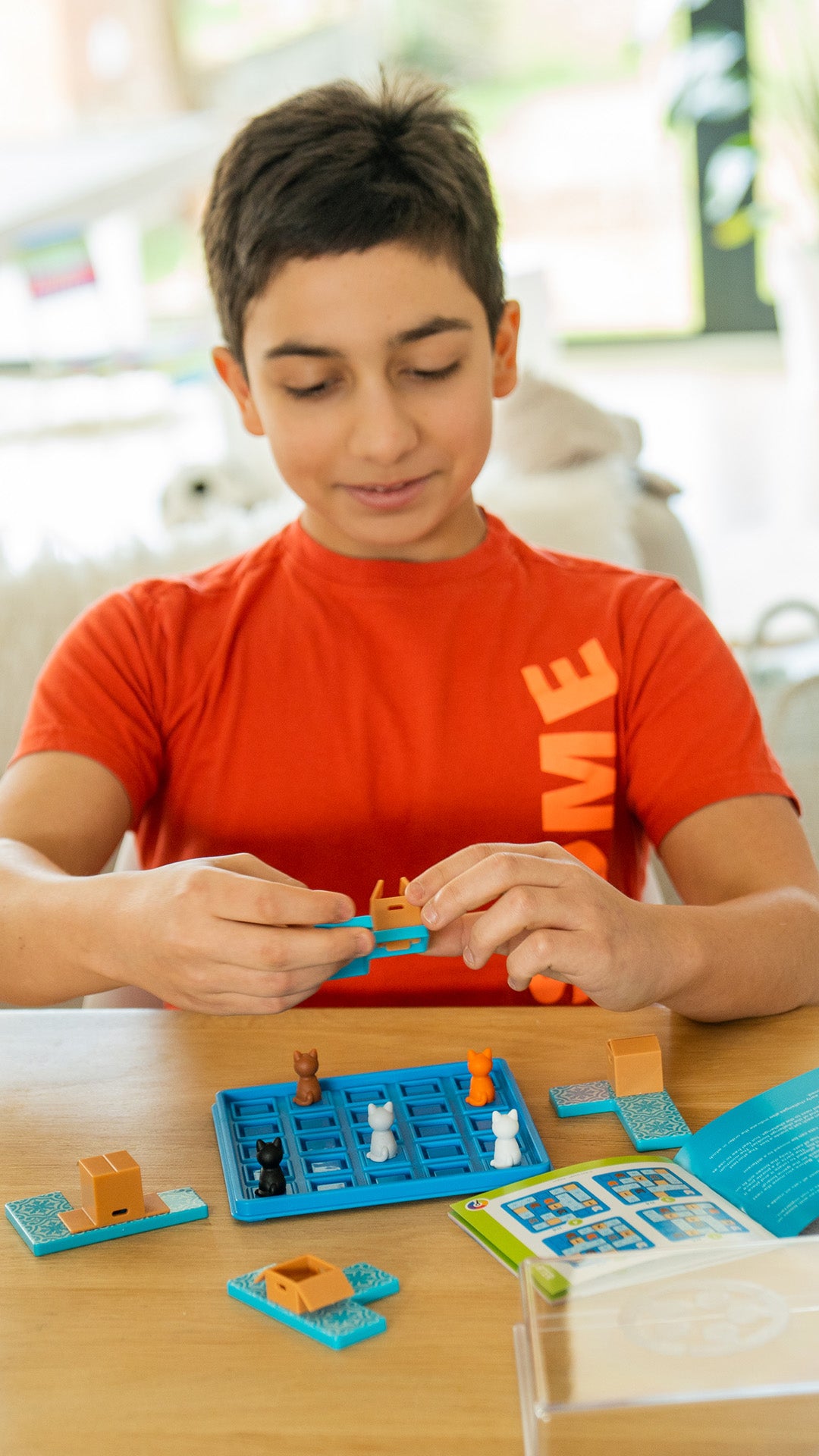 القطط والصناديق