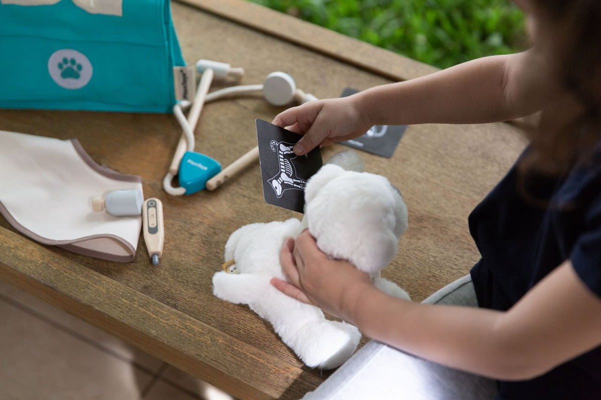 PlanToys Vet Set — Wooden Pretend Play Medical Set