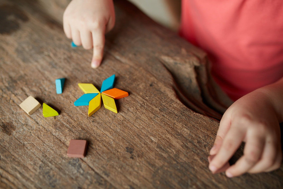 PlanToys Mosaic — Wooden Pattern Building Set
