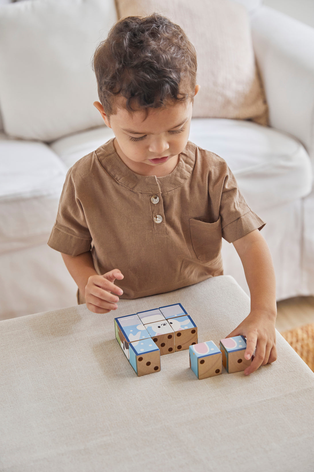 PlanToys Animal Puzzle Cubes — Wooden Block Puzzle