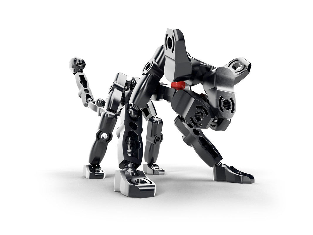 ZooZ - The Black Panther