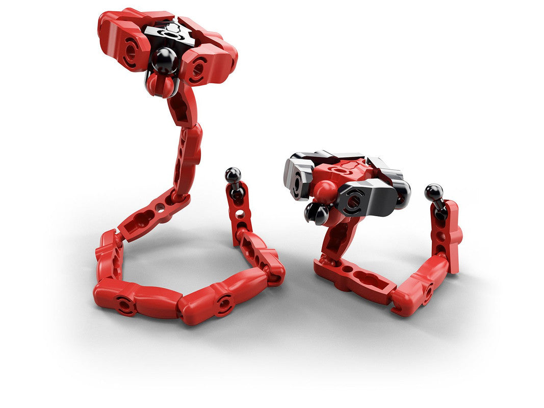 ZooZ - The Red Spitting Cobra