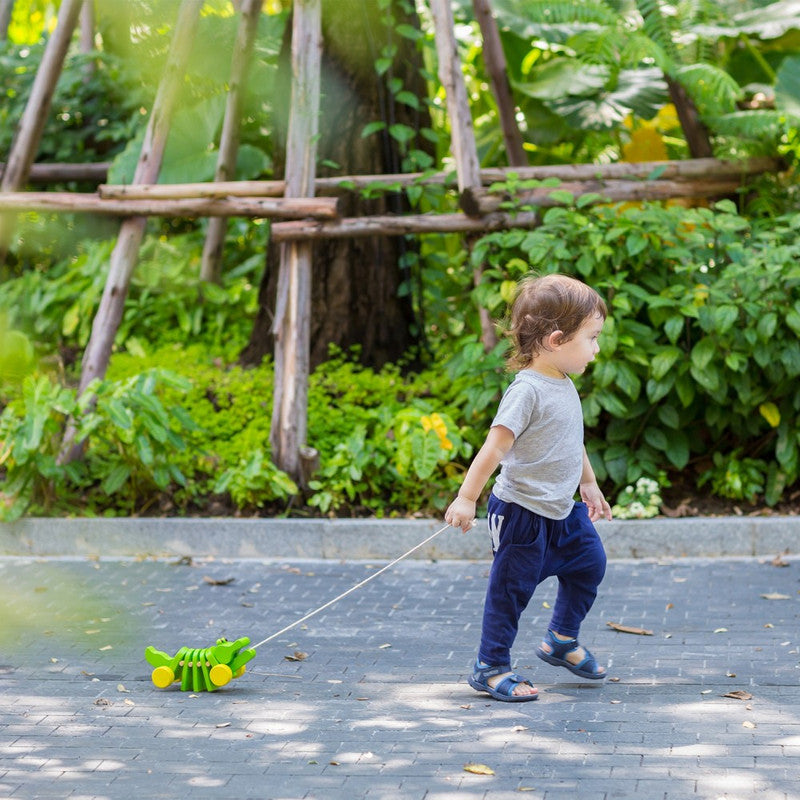 التمساح الراقص