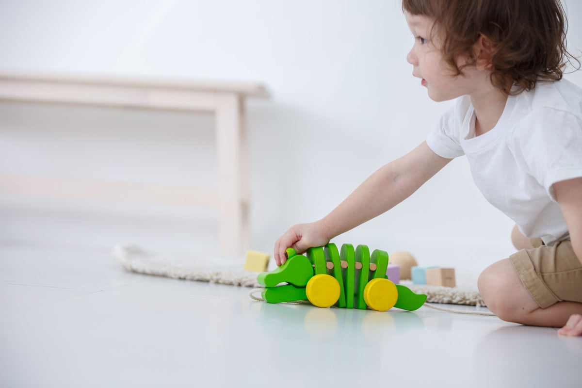 التمساح الراقص