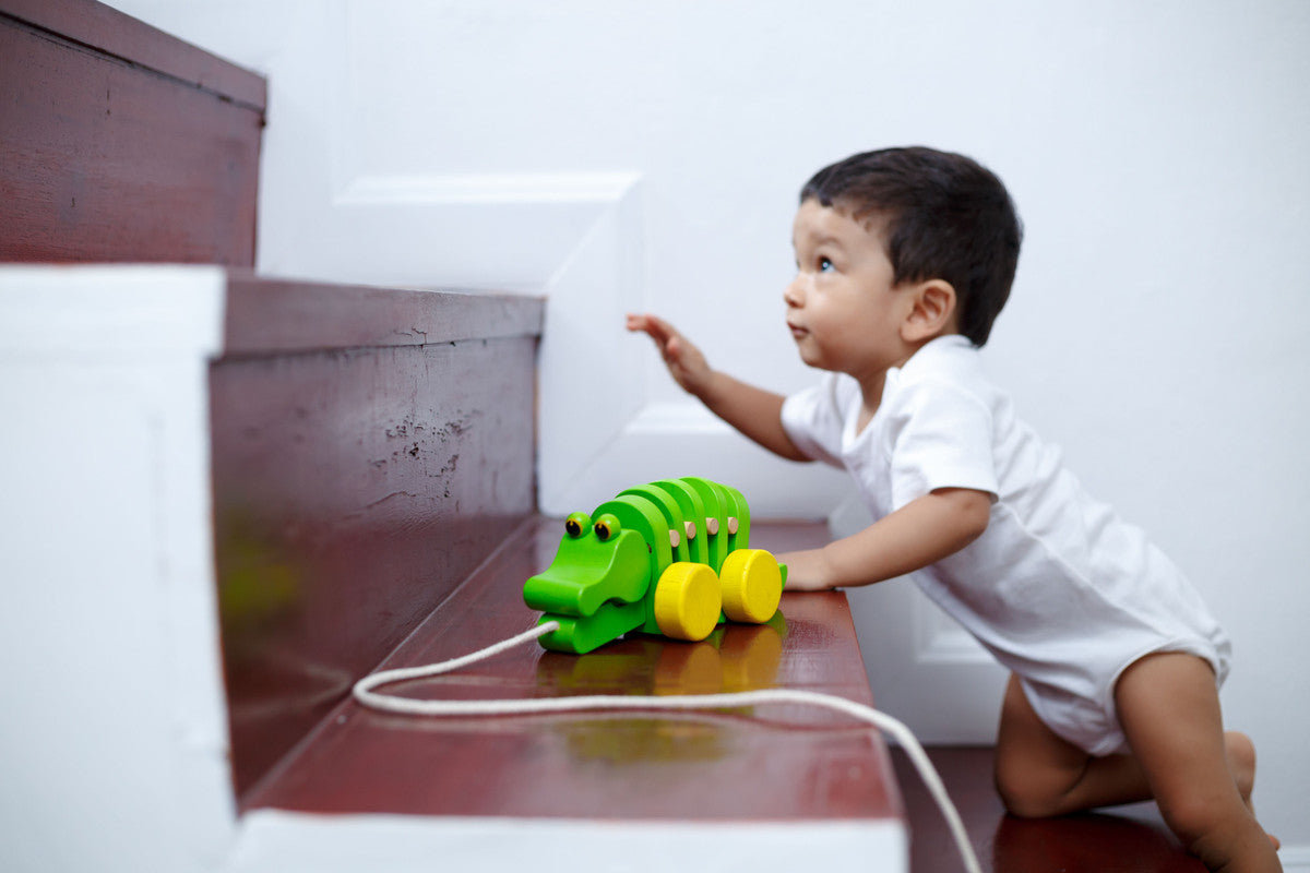 التمساح الراقص