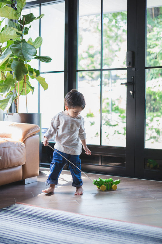 التمساح الراقص