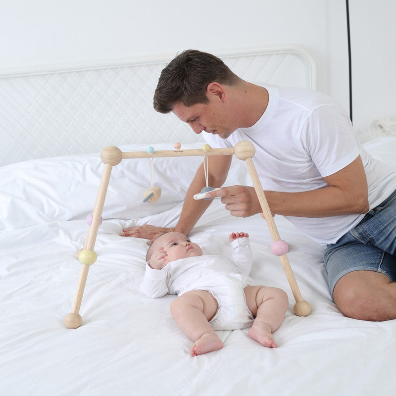 PlanToys Play Gym — Wooden Baby Activity Gym