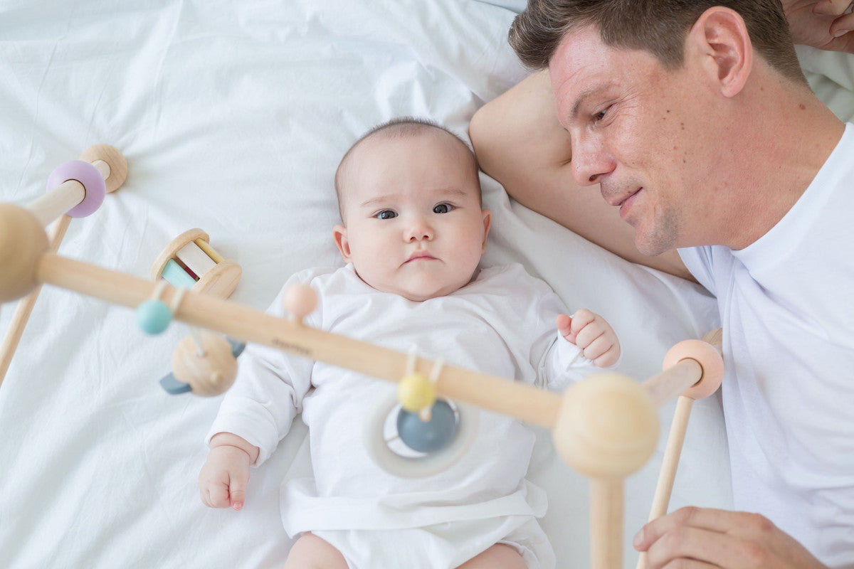 PlanToys Play Gym — Wooden Baby Activity Gym