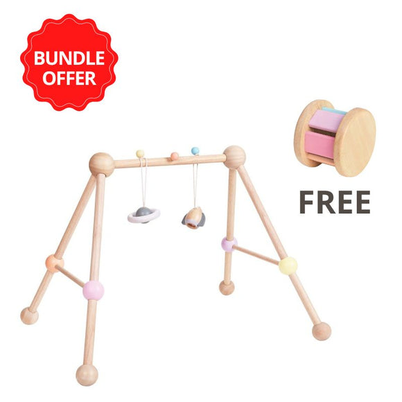 Buy 1 Play Gym and Get Free 1 Roller PlanToys
