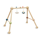 Play Gym - Orchard