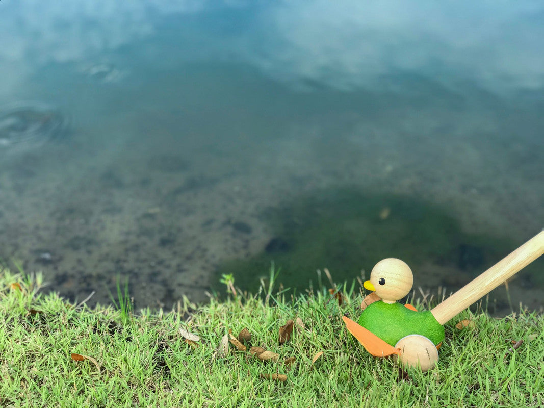PlanToys Push Along Duck — Wooden Push Toy