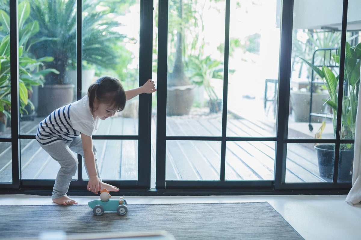 سيارة سباق الدجاج