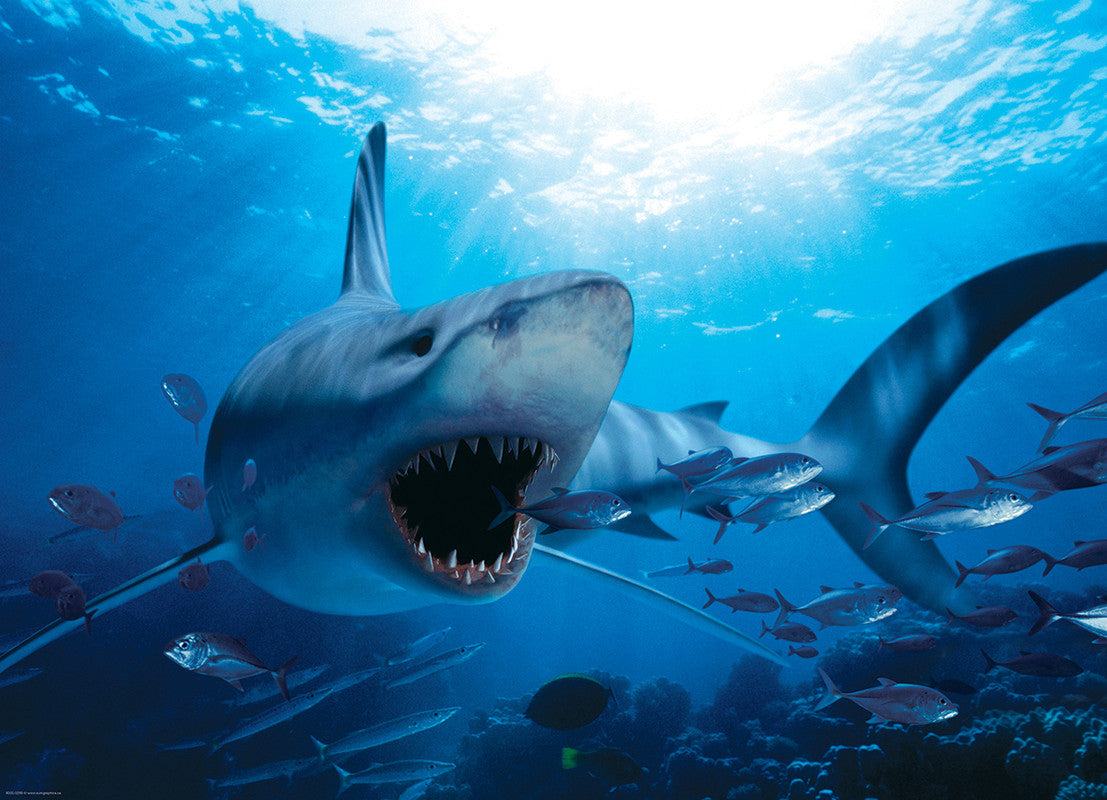 Hungry Shark 1000 Pieces Puzzle