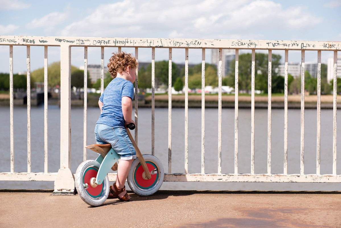 Balance Bike Butterflies - Large