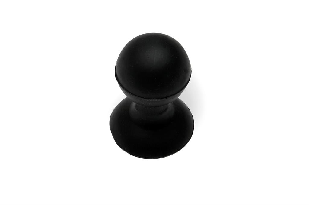 Start To Dart Coral Reef