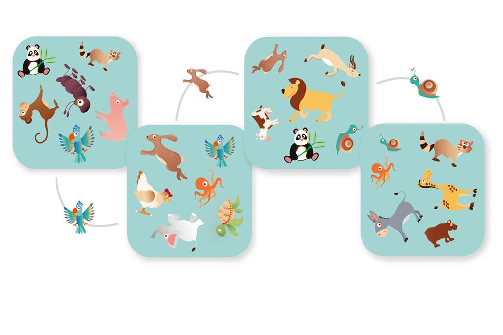 Raccoon Match, In Contour Box 