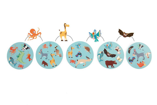 Raccoon Match, In Contour Box 