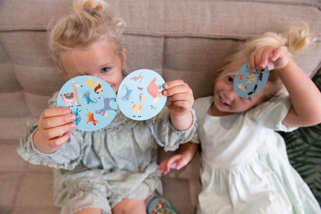 Owl Puzzling Game, In Contour Box