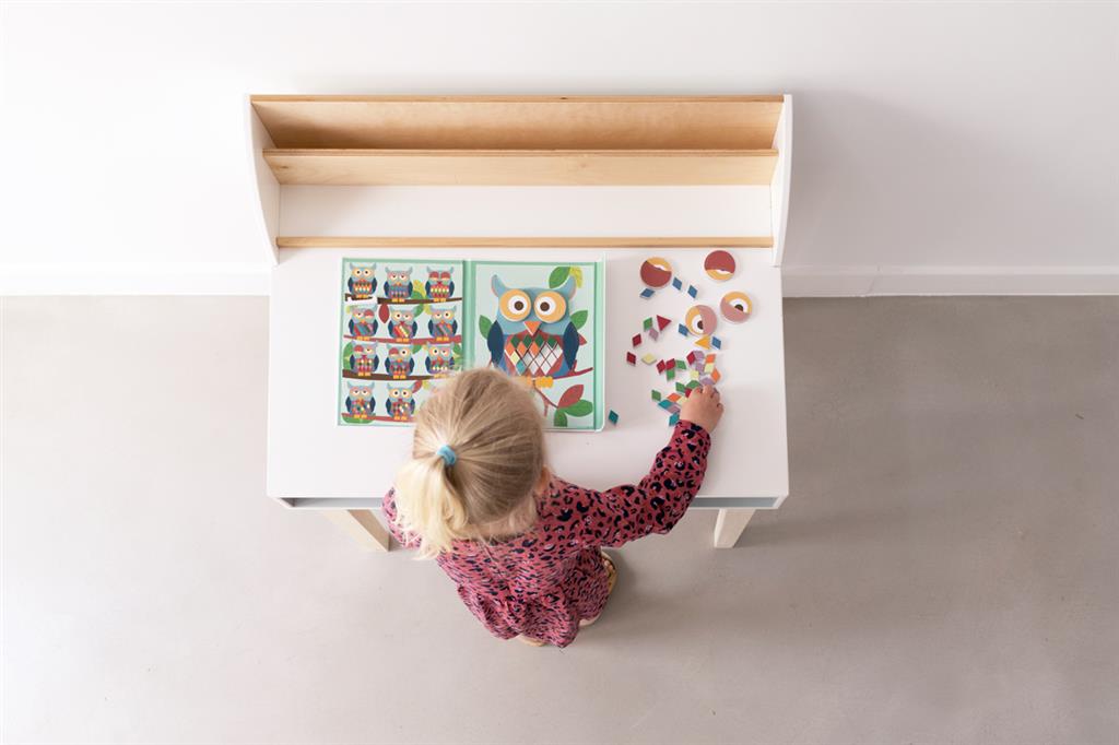 Colours & Shapes/Owl Magnetic