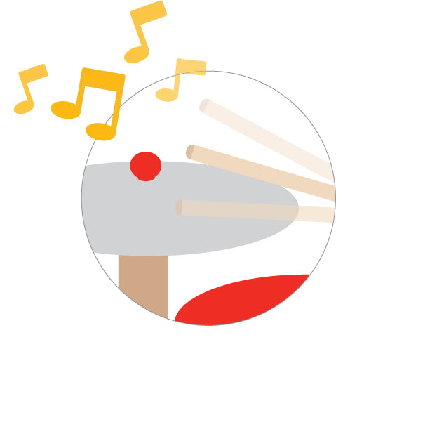 PlanToys Musical Band — Wooden Drum Set