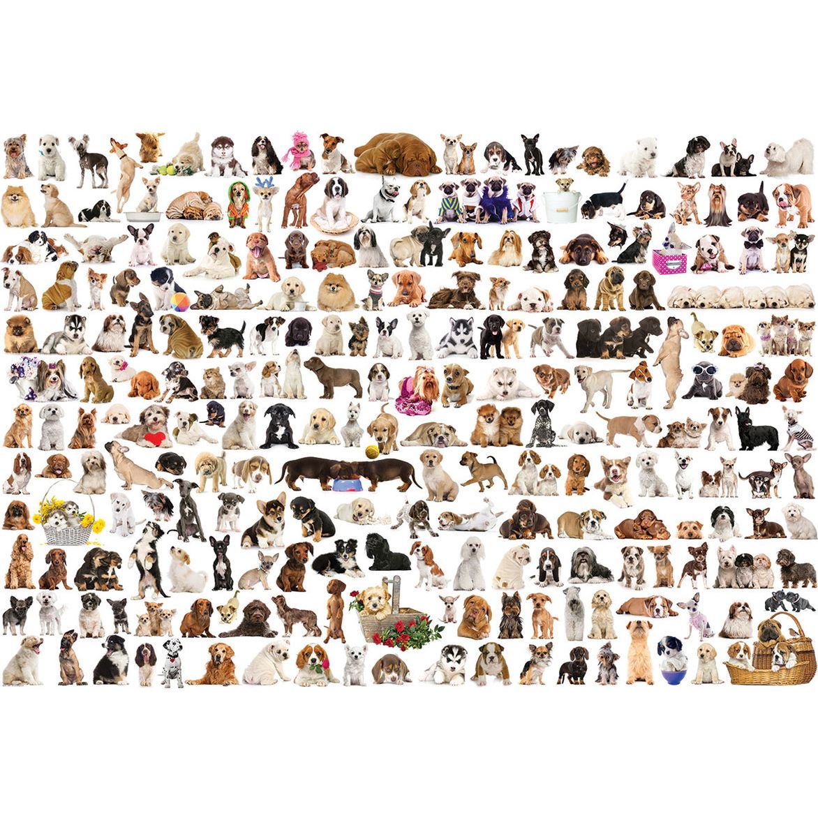 The World of Dogs 2000 Pieces Puzzle