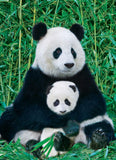 Panda Bear & Baby 1000 Pieces Puzzle