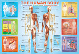 The Human Body 200 Pieces Puzzle