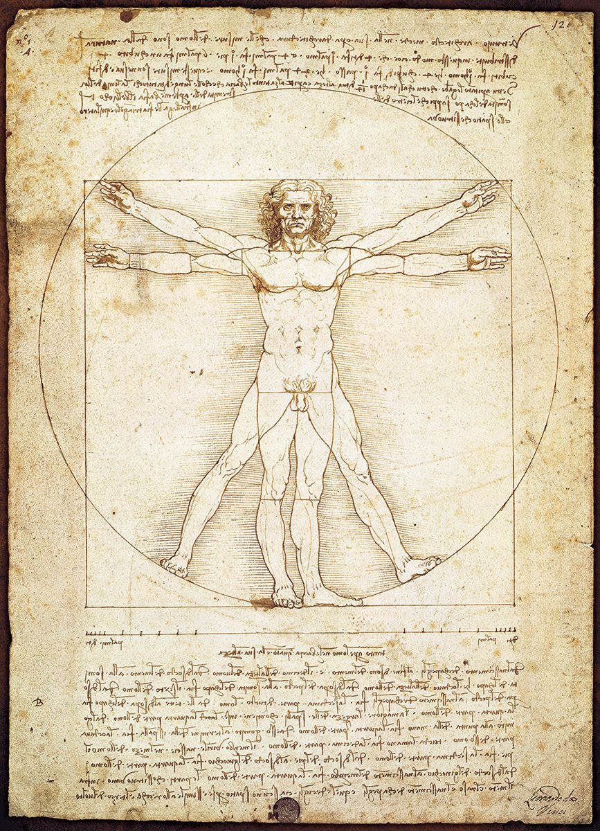 Vitruvian Man 1000 Pieces Puzzle